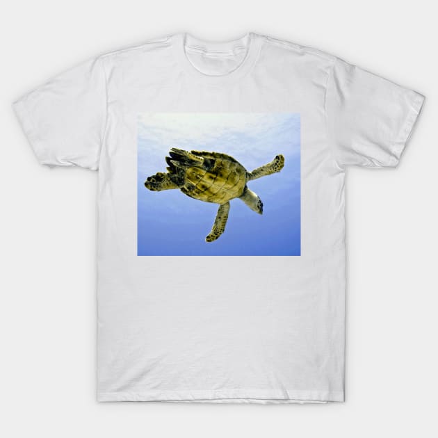 Caribbean Hawksbill Sea Turtle at Play T-Shirt by Scubagirlamy